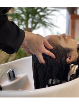 テラス(Terrace)/ヘッドスパ