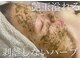 チッチ(Chicchi)の写真
