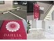 ダリア(DAHLIA)の写真