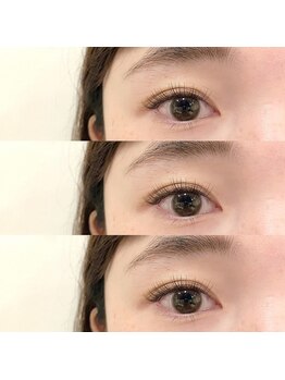 ルシエル アイラッシュ 薬院店(LuXiel Eyelash)/3Dボリュームラッシュ 120束