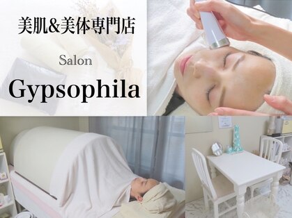 ジプソフィーラ(Gypsophila)の写真