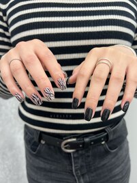 zebra × black