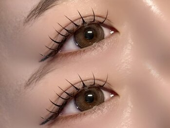 ティー(tea.)/フラットラッシュ120本