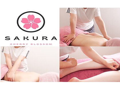サクラ(SAKURA)の写真