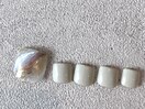 定額Cしっかりアートコース