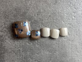 定額サンプルコース