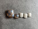 定額サンプルコース