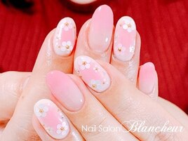 【カラグラ＆ホロ花チーク】