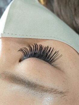 グロウプラス(GLOW+)/バインドロック120束