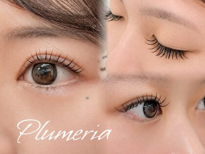プルメリア(Plumeria)の写真