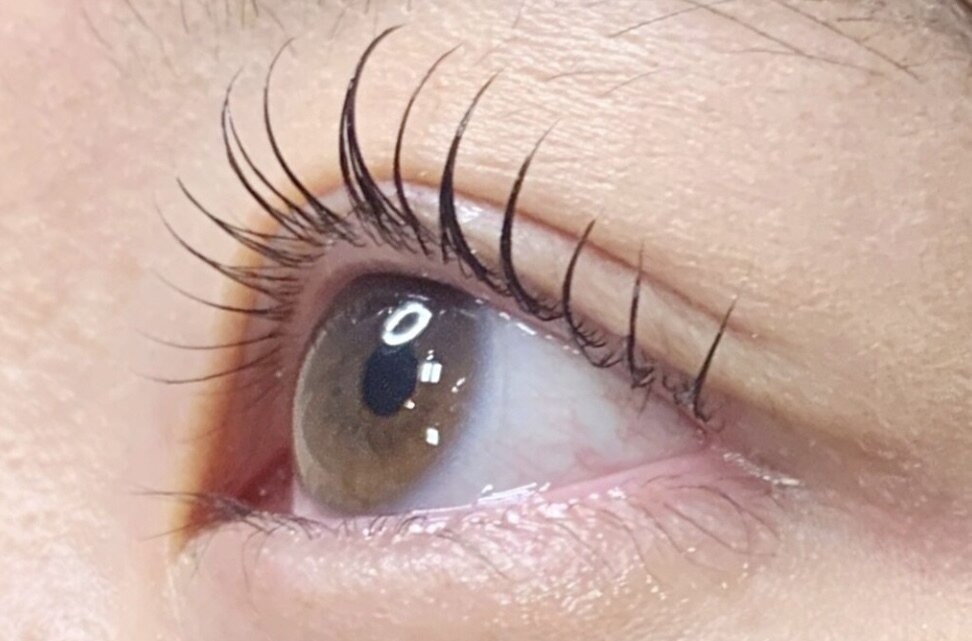 次世代まつ毛パーマ＊ラッシュリフト(上まつ毛) \6930