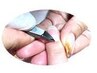 【自爪派の方】美爪・自爪ネイルケアコース/地爪を健康に育てる甘皮処理¥3000