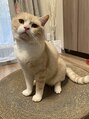 パーソナルスキンケアサロン 神戸 本山南 動物大好き!!愛猫のまるちゃんです!^o^