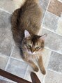 アイム 千葉富士見本通り店(i'm)&nbsp;動物カフェ癒されに定期的に行ってます^^可愛い猫さん^._.^