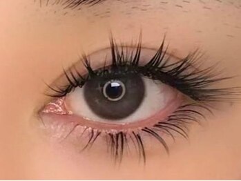 ビトライブ(美TRIBE)の写真/速い、上手い、長持ちのプロの技/まつげパーマ/まつパ/マツエクフラットラッシュ/眉毛wax/大森マツパ