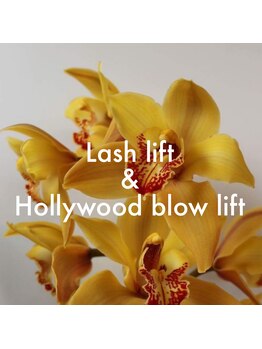 ハービンドール/Lash lift & blow lift