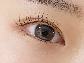 コルテアイ(CoRte.eye)/ラッシュリフト/まつげパーマ