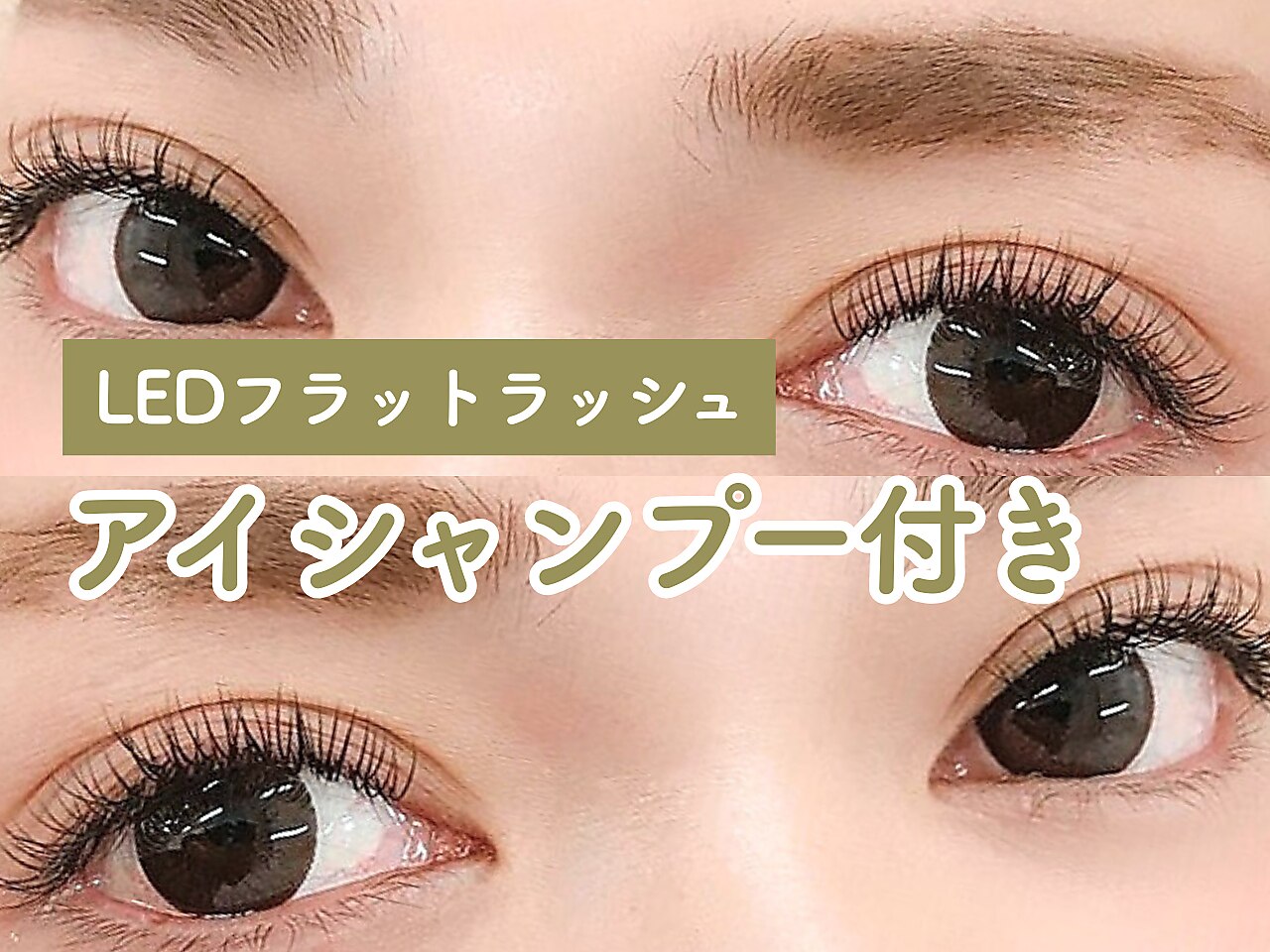 〔再来〕LEDiLash(フラットラッシュ)+アイシャンプー140本 ￥7,500→￥5,500