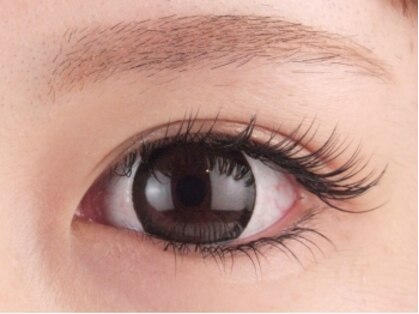 ルシア アイラッシュ はるるの写真