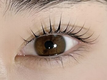 ポレポレ(polepole)/次世代まつげパーマ