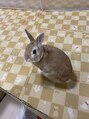 小顔フェイスラボ 南森町店(小顔 Face Labo.)&nbsp;7歳のうさぎを飼っています♪