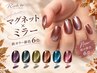 【秋ネイル★新色6色】マグネット×艶ミラー ¥7900