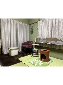 冷え改善・代謝をUPしたい