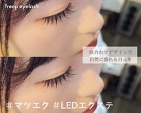 フリープシビル(freep sibil)