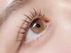 ミーアアイサロン(miia eye salon)の写真/《ママさんも通いやすい》まつ毛、アイブロウ共に経験豊富×高技術力でリピート率◎メンズ大歓迎♪