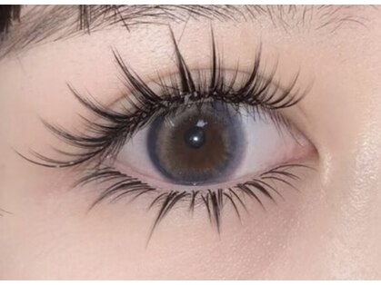 カラン(calin)の写真