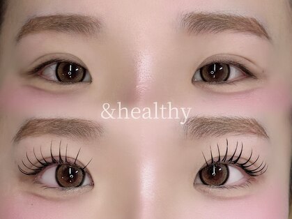 ステラ(Stella)の写真