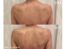 リノコロレ(ino.colore')/【ブライダルコルギ】×7回