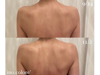 リノコロレ(ino.colore')/【ブライダルコルギ】×7回