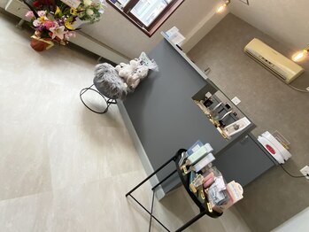 ヴィオン(VION)/サロン内