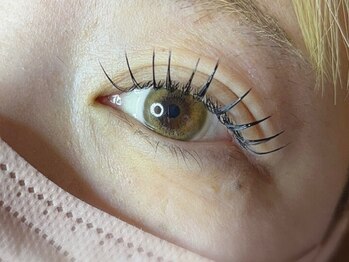 バカンス(VACANCES)/フラットラッシュ