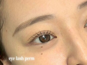 フェリーチェビューティー 大宮西口店(felice BEAUTY)/大宮/まつげパーマ/眉毛ワックス