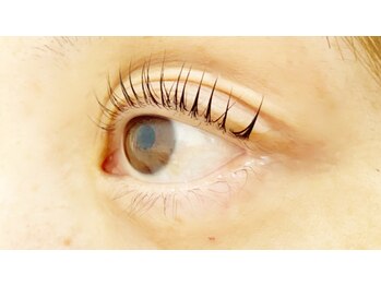 クレー(Klee)/パリジェンヌラッシュリフト