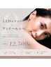【アンドヘルシー】フラットラッシュ120本 +まつげパーマ ¥12500 束感仕上げ