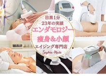 ソフィア ミューズ 目黒