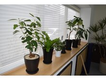 コウジュウドウプラス(耕揉堂Plus+)/お店内観その３