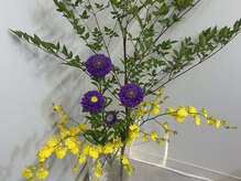 透灯(TOUTOU)の雰囲気（季節の植物。和の情景が好みです♪）