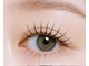 アイラッシュプラン リノ(eyelash plan RINO)の写真/多くのデザインを用意!ナチュラルで美しい目元を実現し、旬の目元を叶えるサロン★