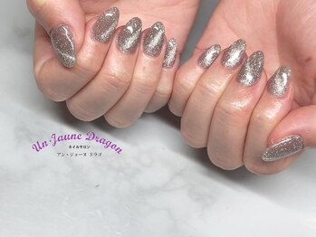 アン ジョーヌドラゴ/【自爪ネイル】マグネットネイル