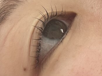 アップリップスダブリュー(Uplips.w)/