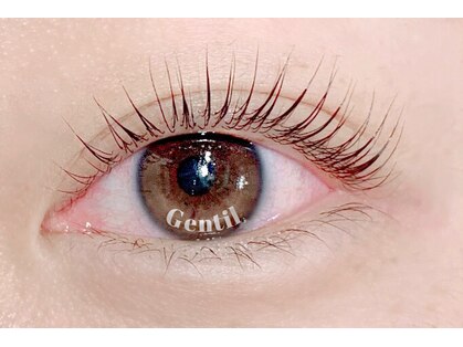 ジャンティ(Gentil)の写真