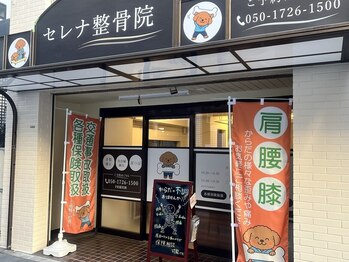 セレナ整骨院 池袋院の写真/池袋の実力派鍼灸サロンがついに登場!美容鍼でリフトアップ/エイジングケア/むくみ解消/ハリツヤUP☆