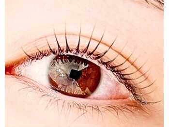 ルクール(LE COEUR)/パリジェンヌラッシュリフト