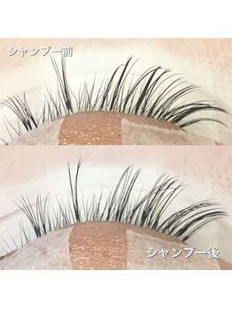 トリコ 調布(TRICO)/アイシャンプー