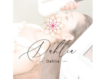 ダリア(Dahlia)の写真