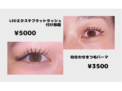 リッド(ride)の写真